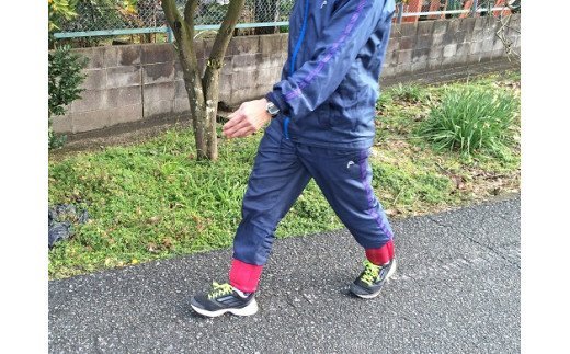 G-12 ネクウェスト・レグぽか　ミニセット【カラー②】